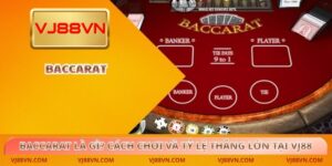 Live Casino - vamifo.info - VAMIFO