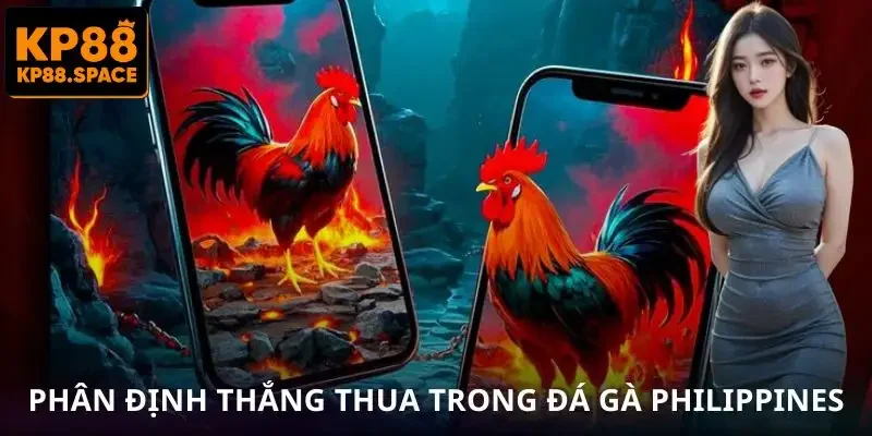 Đá Gà Philippines – Bí Quyết Tăng Tỷ Lệ Thắng Từ KP88 - VAMIFO