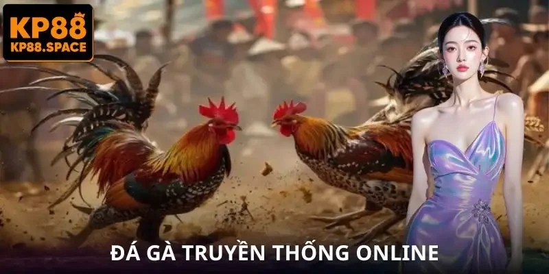 Đá Gà Philippines – Bí Quyết Tăng Tỷ Lệ Thắng Từ KP88 - VAMIFO