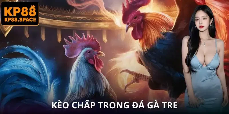 Đá Gà Tre KP88 - Trận Đấu Tốc Độ Nhanh Lợi Nhuận Cực Hấp Dẫn - VAMIFO