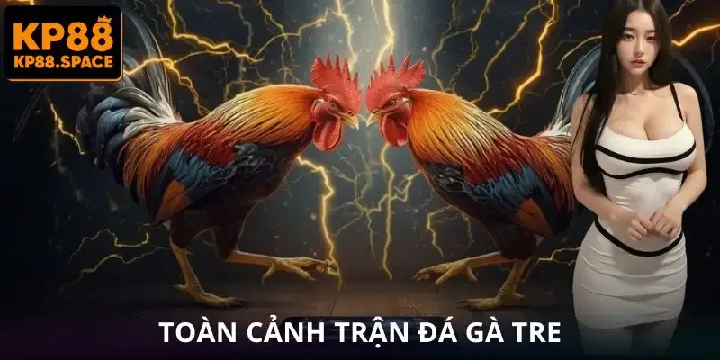 Đá Gà Tre KP88 - Trận Đấu Tốc Độ Nhanh Lợi Nhuận Cực Hấp Dẫn - VAMIFO