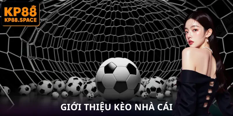 Kèo Nhà Cái | Cách Nhận Biết Chuẩn Bài Để Chọn Cửa Chắc Tay - VAMIFO