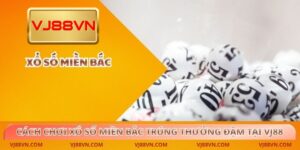 Xổ số - vamifo.info - VAMIFO