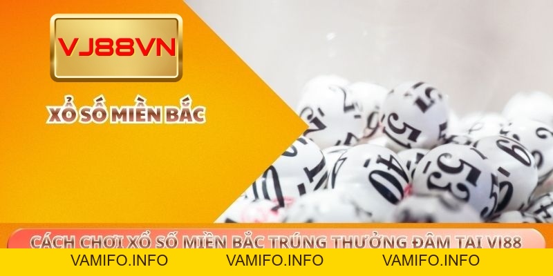 Cách Chơi Xổ Số Miền Bắc Trúng Thưởng Đậm Tại VJ88 - VAMIFO